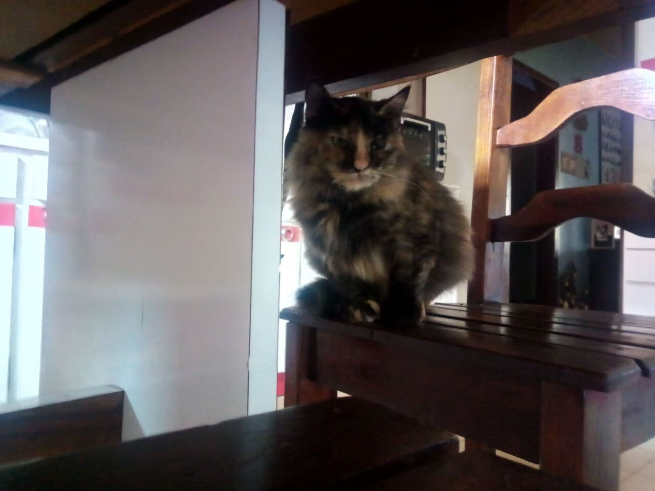 鏖战与独舞，当马竞铁血遇上莫德里奇的时间哲学