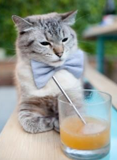 独舞纽约，撕裂青空，当布伦森的单挑艺术遇上雷霆的青春风暴