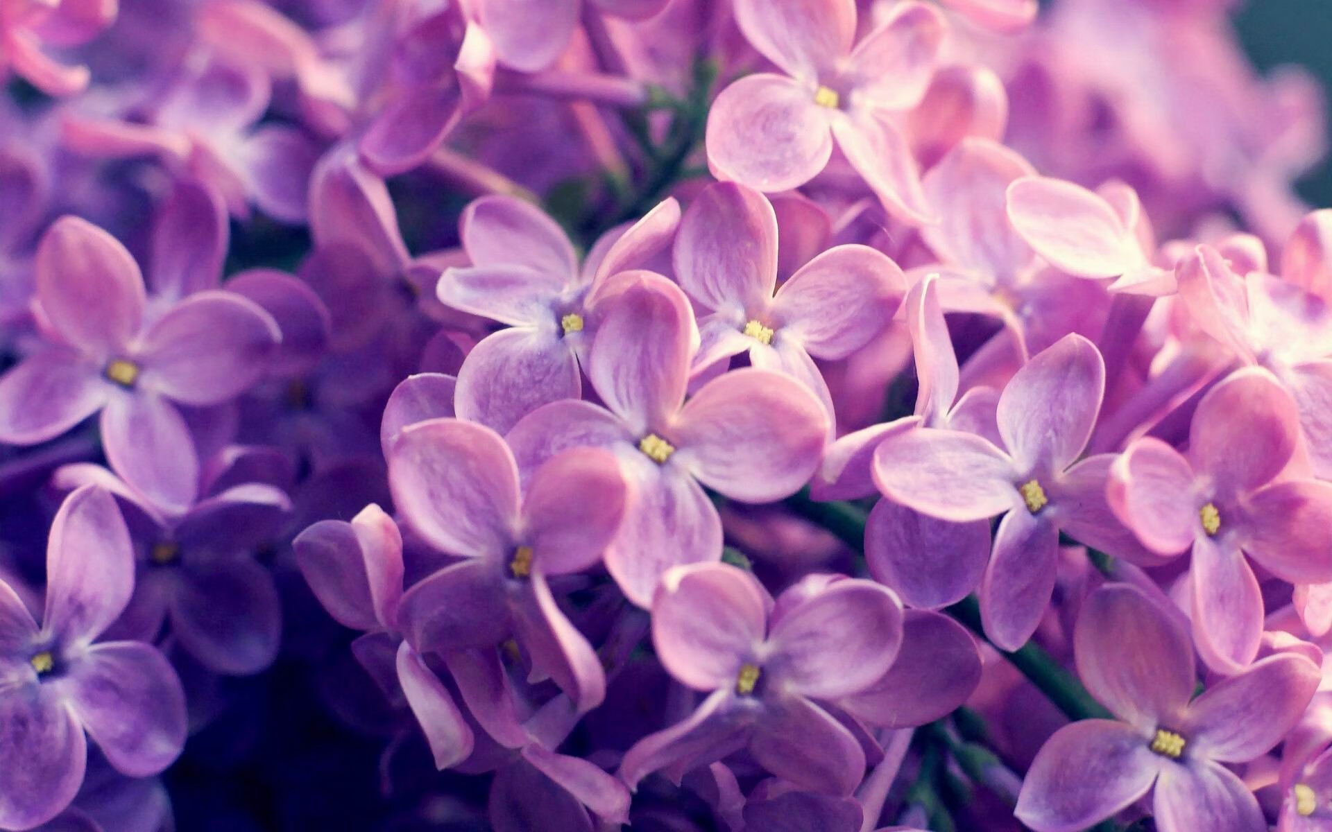 孤胆对铁壁，当英格拉姆的锋刃刺向辽宁队的混凝土城墙