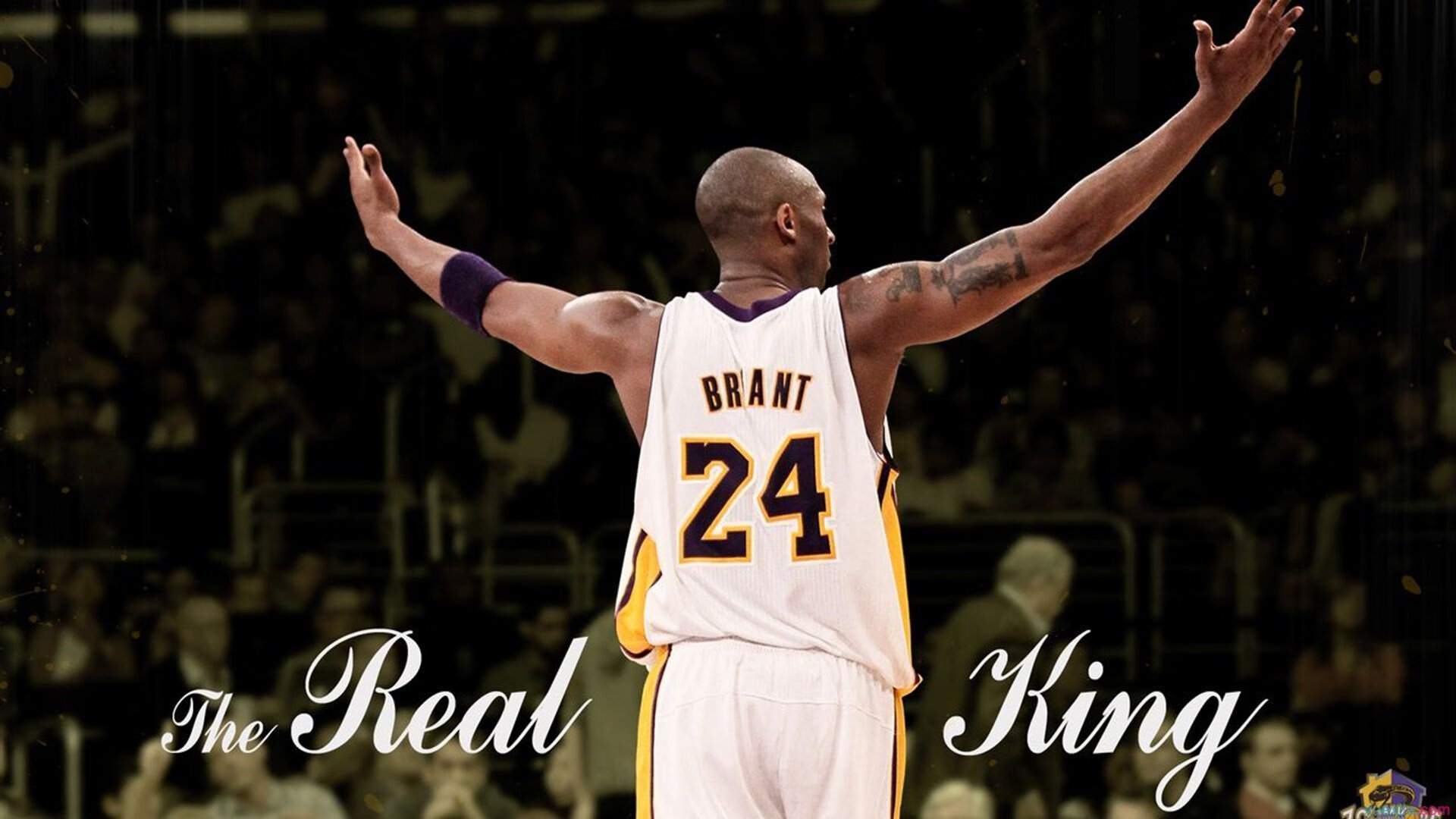 暗夜骑士，落选秀范弗利特如何率马刺刺穿尼克斯的冠军梦