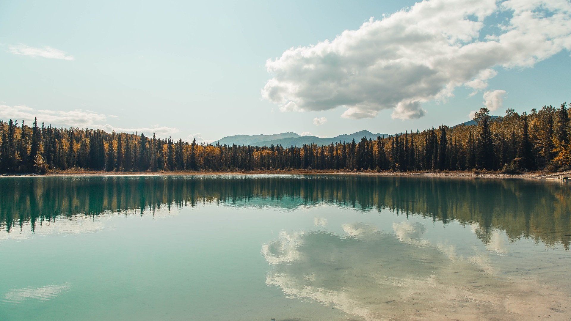 跨越足坛维度的对决，当塞内加尔铁壁遇上尤文之光，穆勒在虚构战场上演绎个人英雄主义
