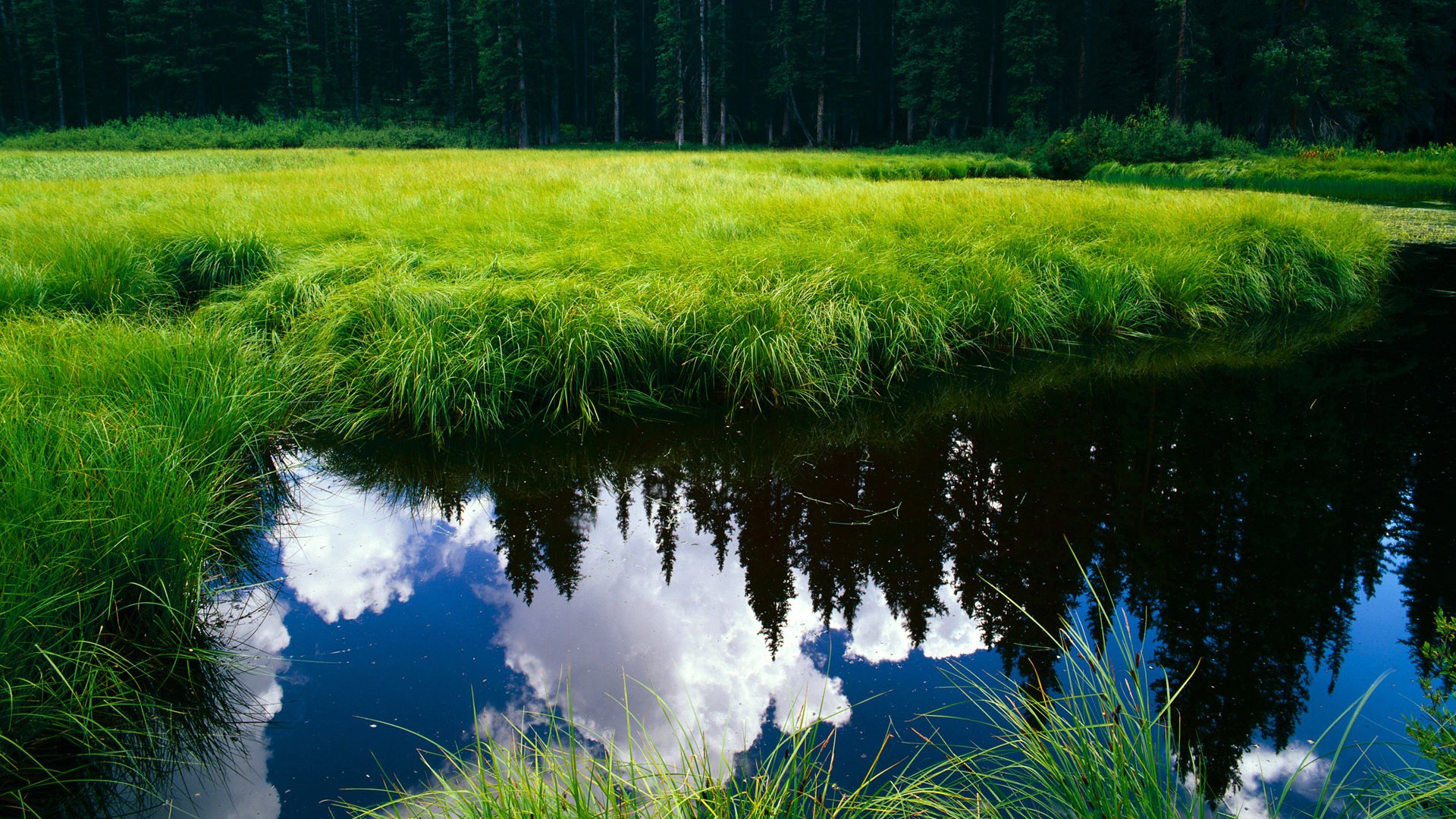 达米安·利拉德，西决生死夜绽放的唯一传奇