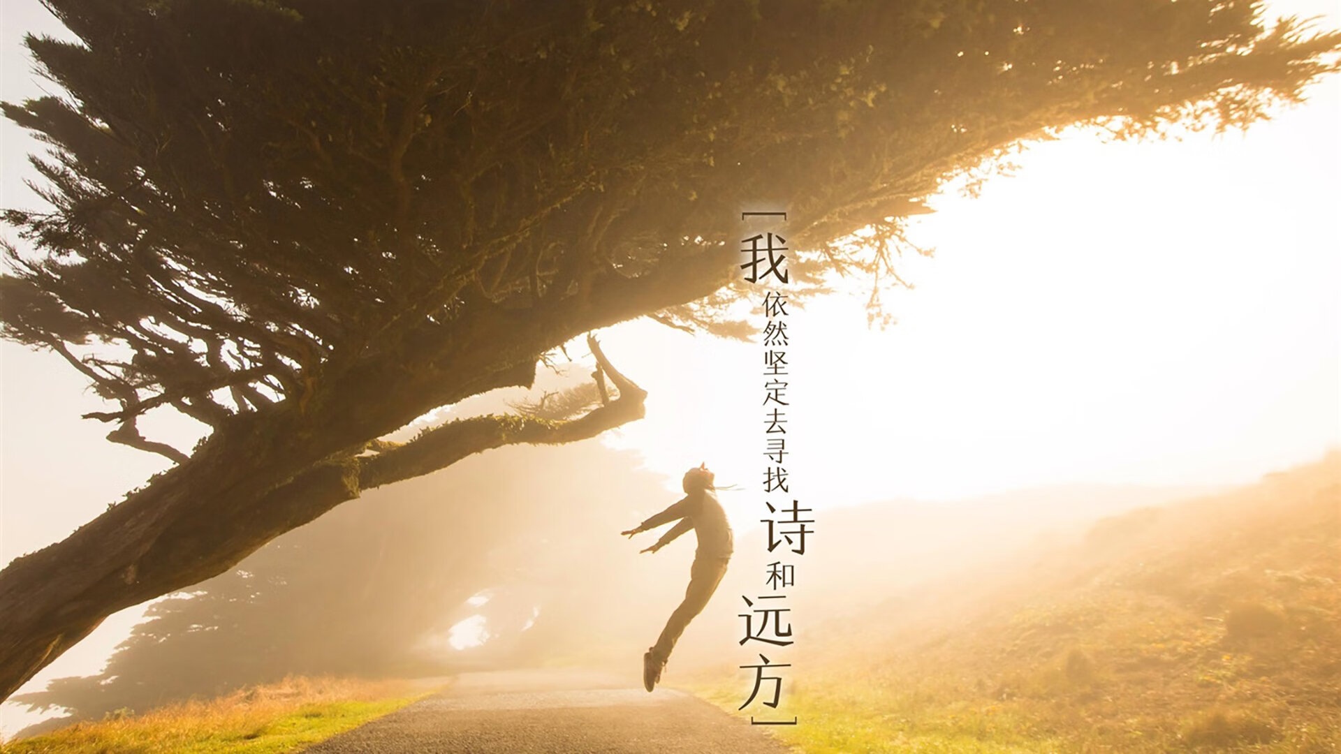 封印破除之夜，当维尼修斯撕下所有标签，在伯纳乌写下自己的史诗