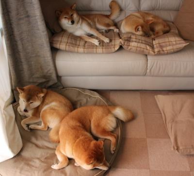 开云体育APP下载-当硬仗之王未遇挑战者，乌克兰加时绝杀演绎新王定义