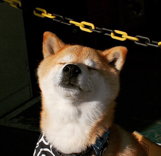 今夜欧洲双子星，雷恩末节使命必达，德里赫特铸成叹息之墙